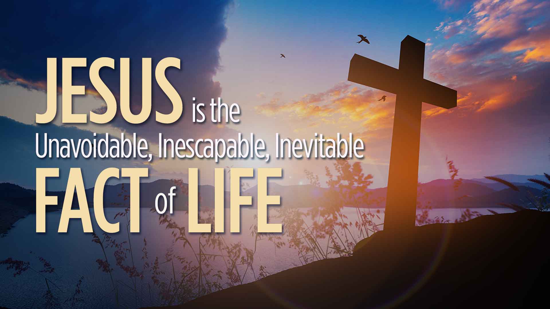 Jesus Unavoidable Fact Of Life 1920x1080