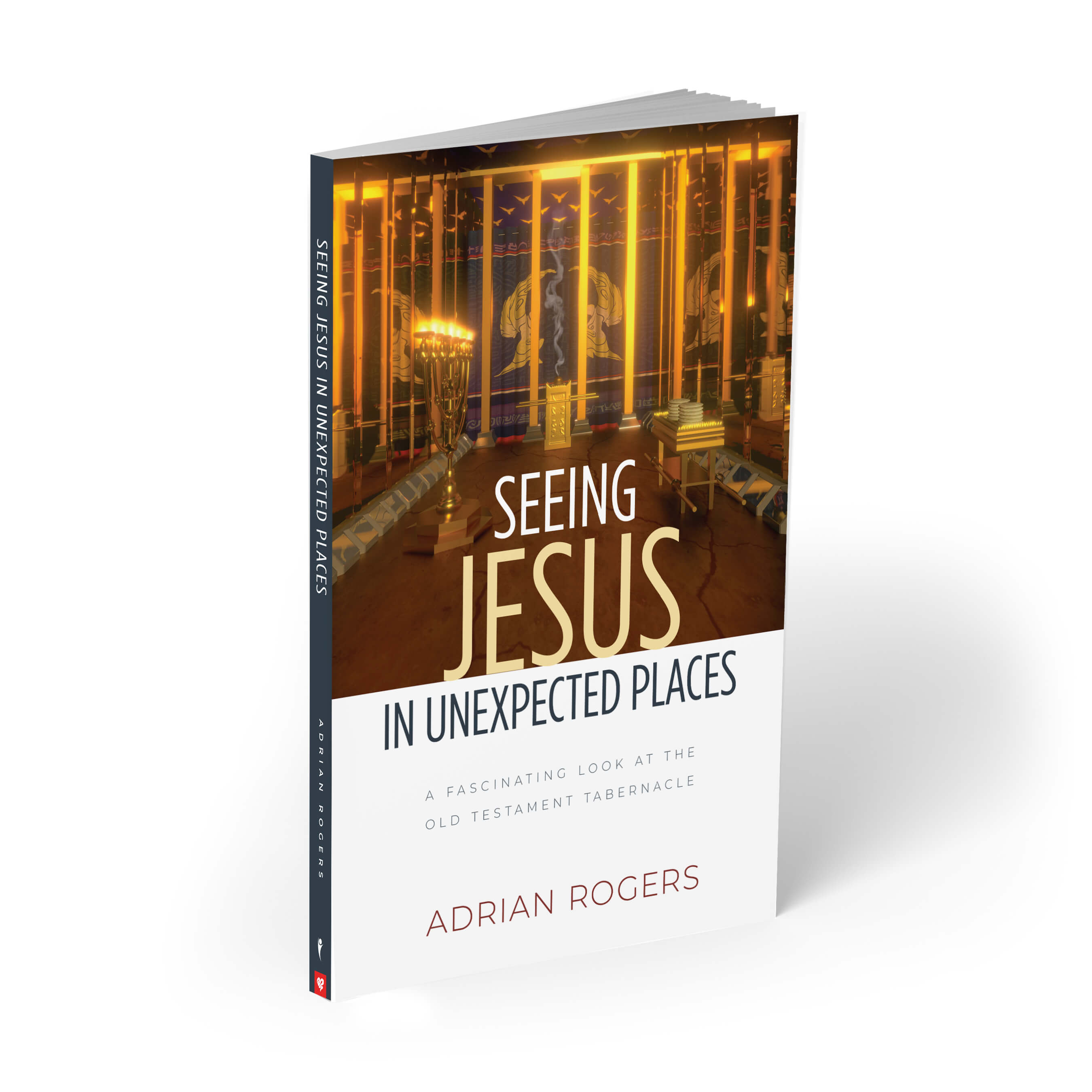 Seeing Jesus in Unexpected Places Book