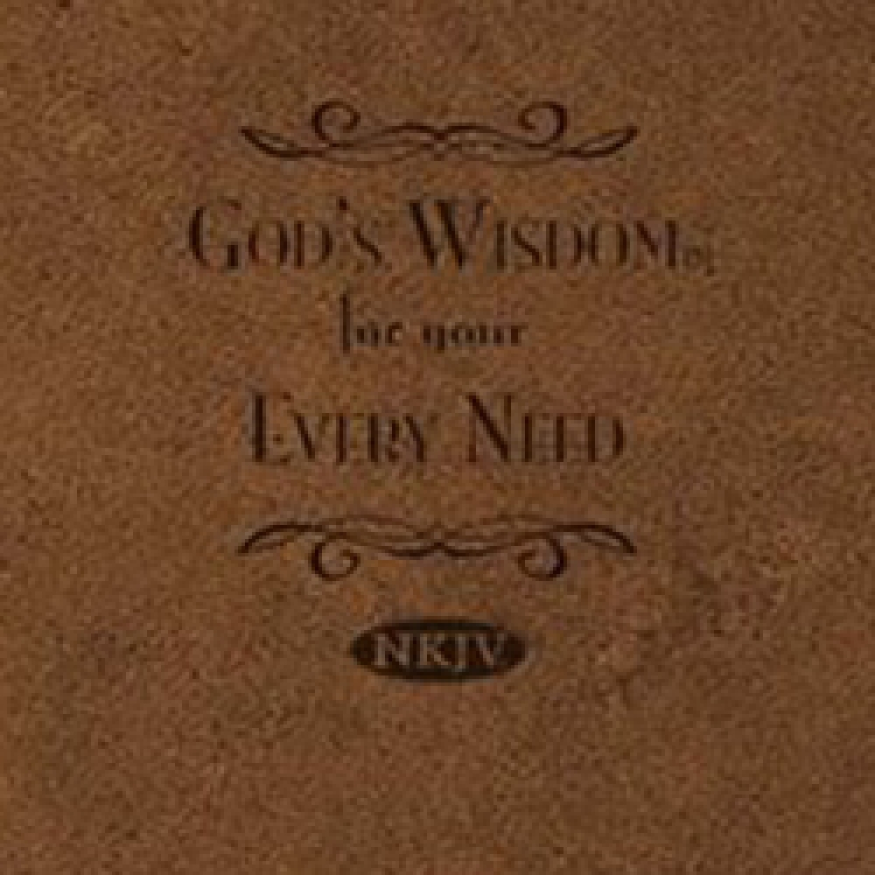 Bk256Lg God's Wisdom for Every Need
