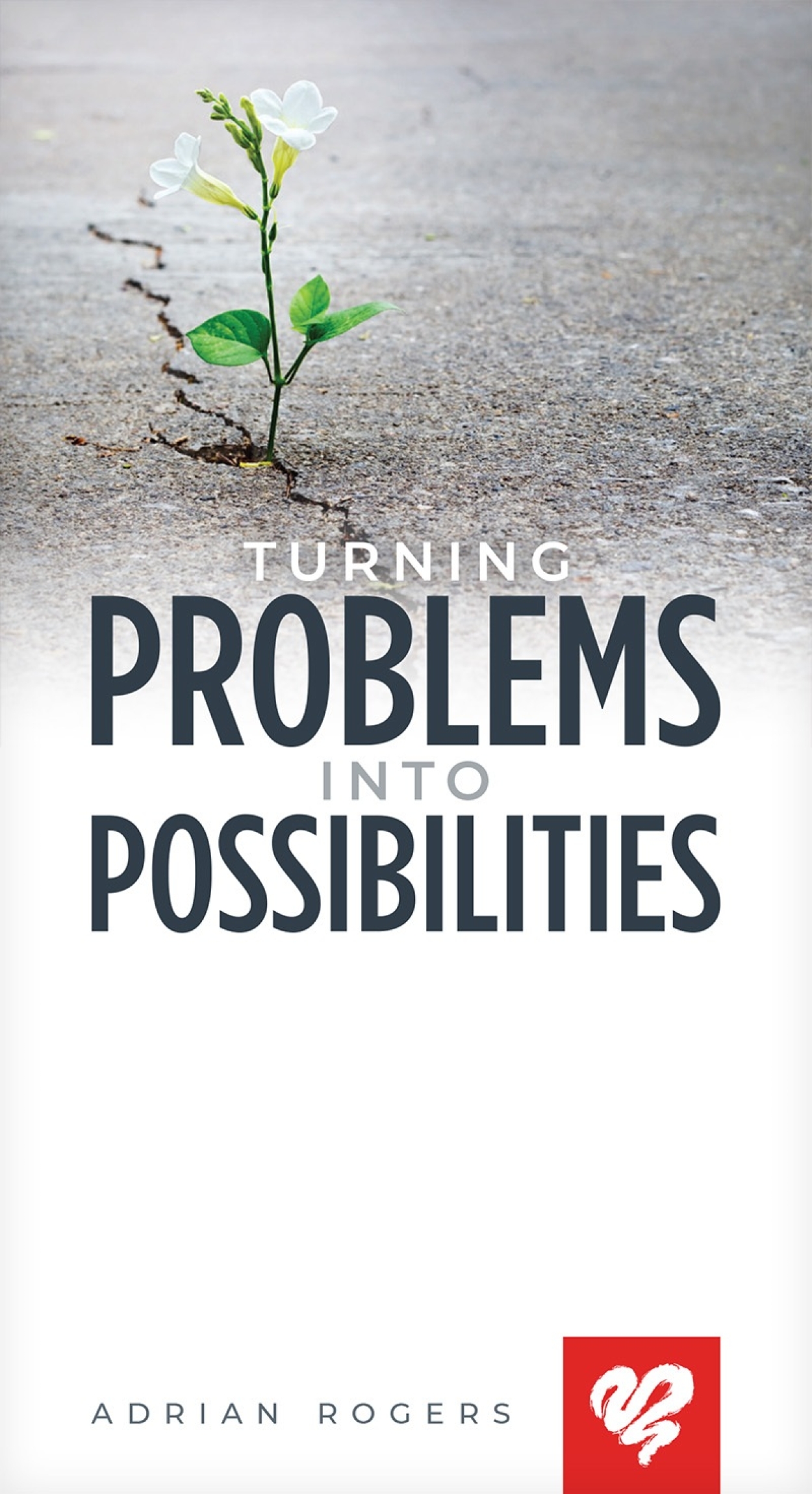 Turning Problems Into Possibilities Booklet K131