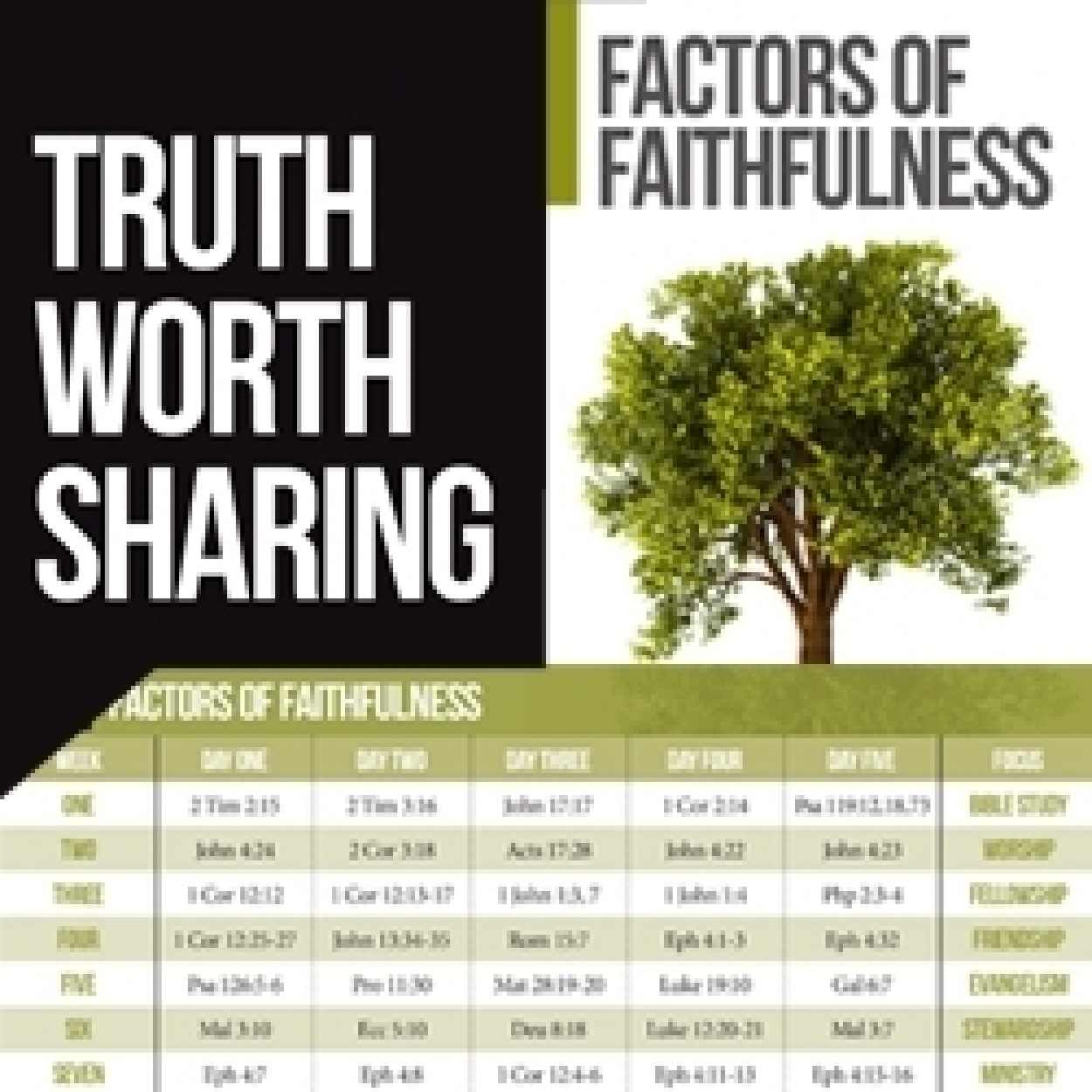 T200Lg Truth Worth Sharing: Factors of Faithfulness