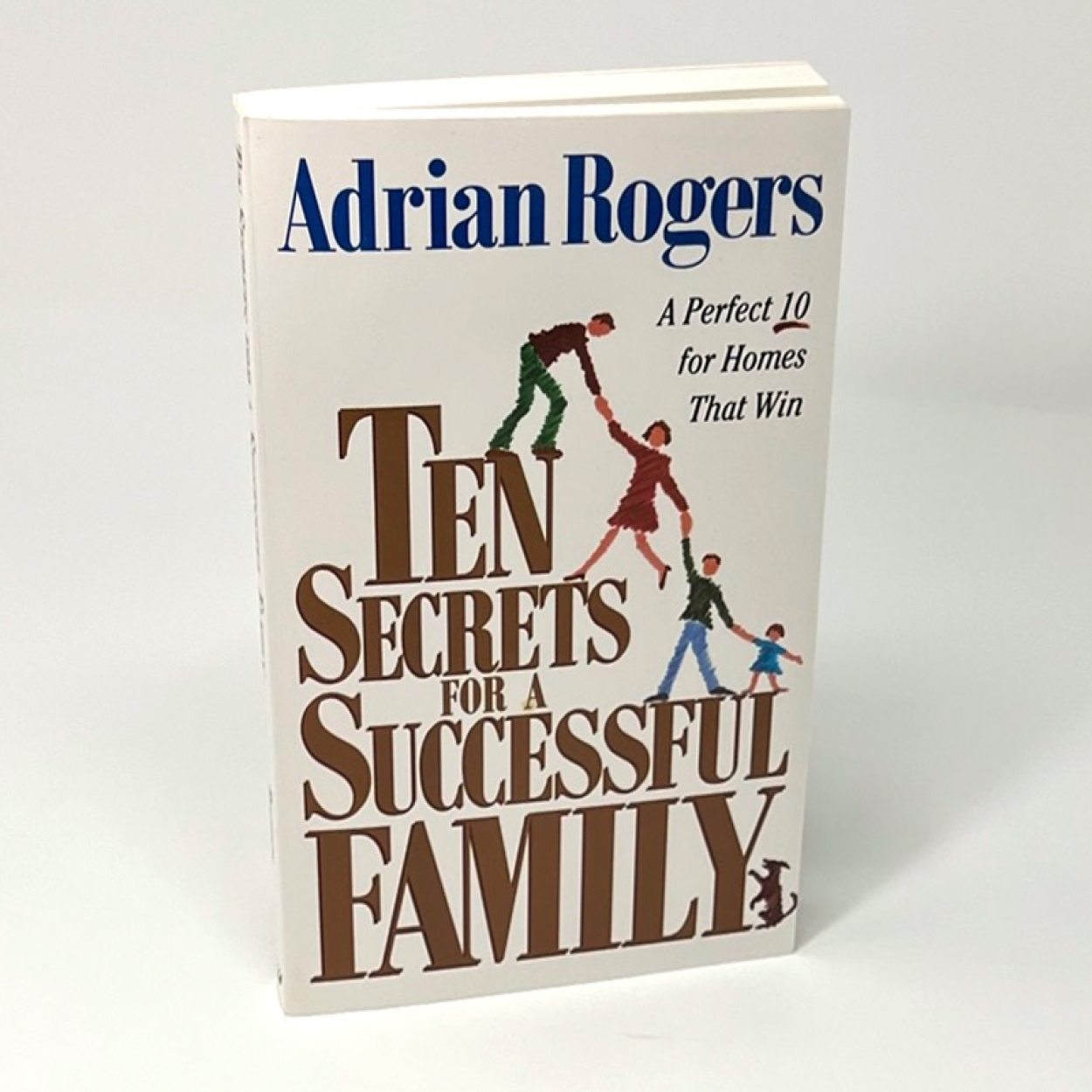 Ten secrets for a successful family book sq b104