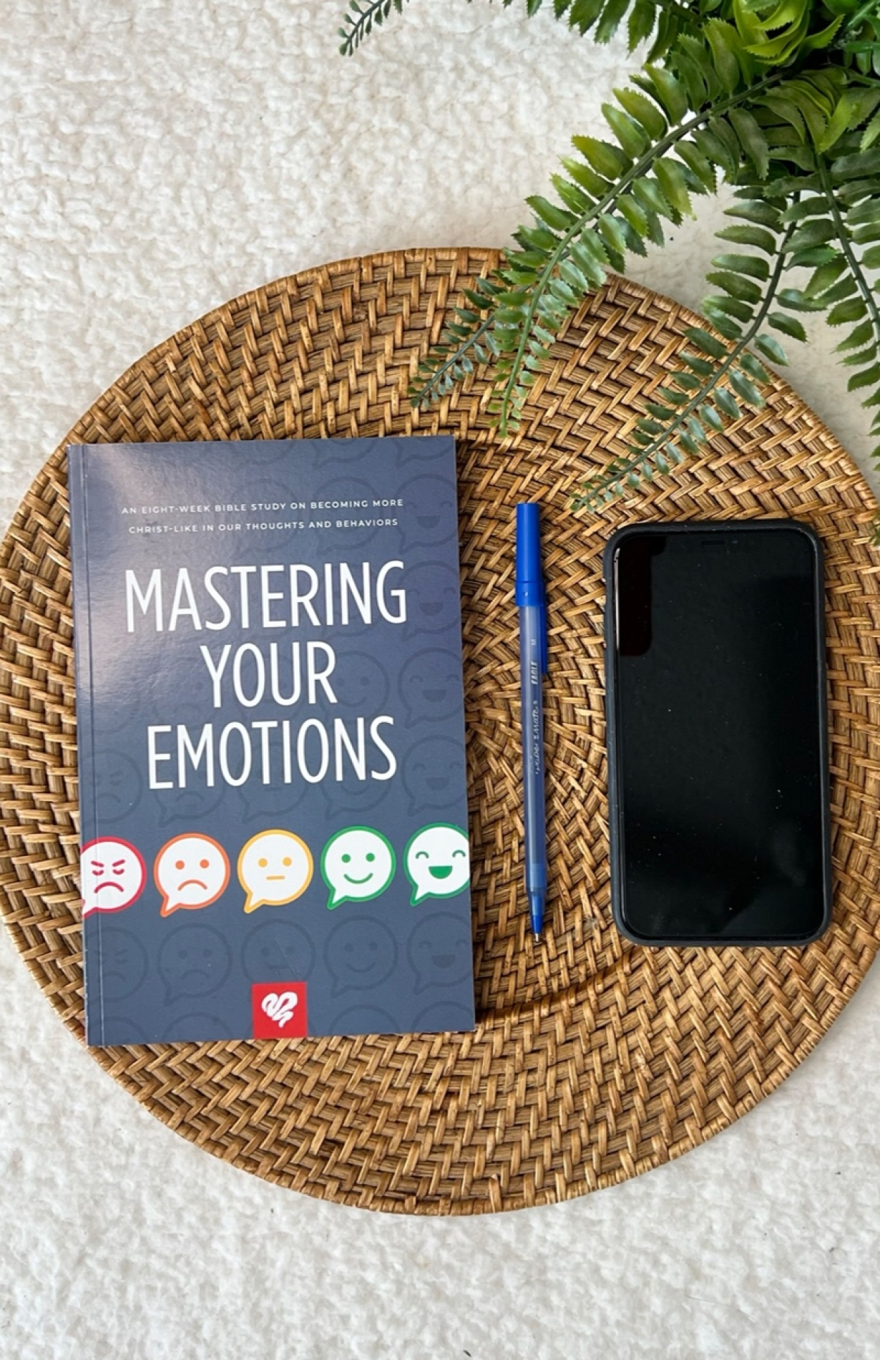 Bss112 mastering your emotions bible study FLAT LAY