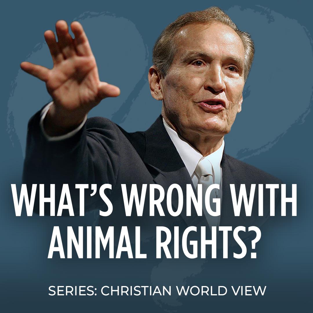 What's Wrong with Animal Rights? 1955 AUDIO 1080x1080 No Logo