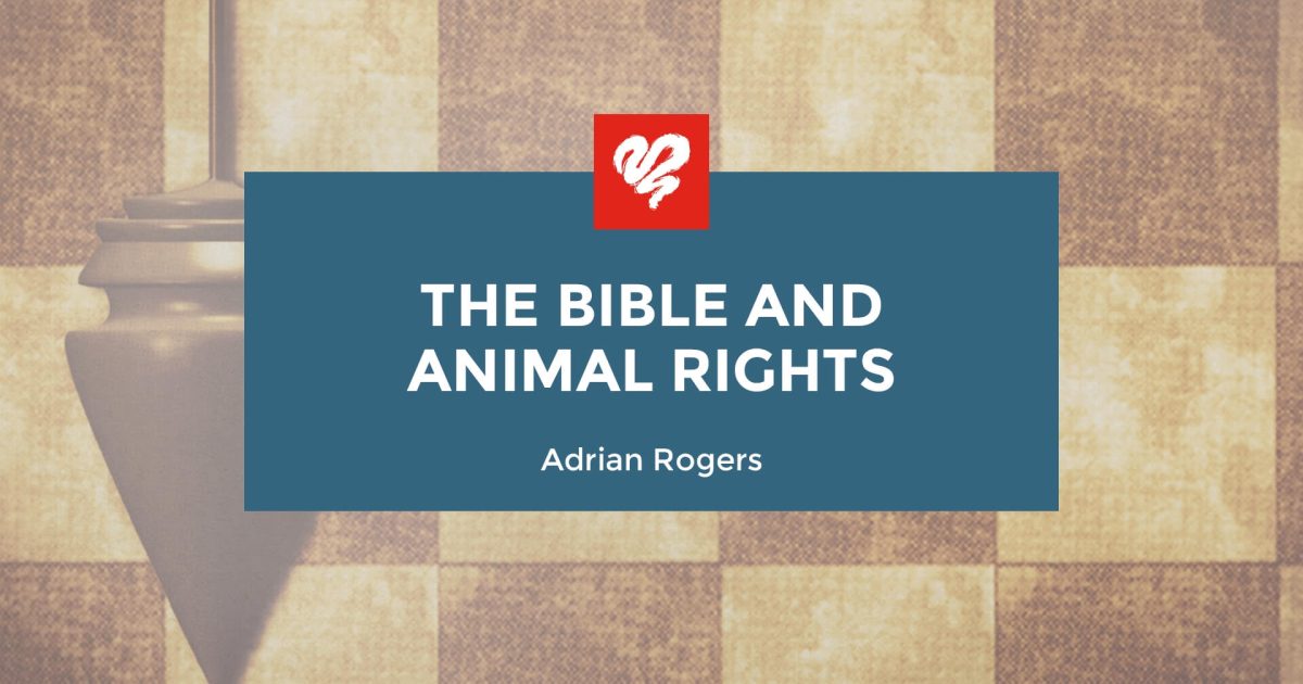 The Bible and Animal Rights (1513) | Love Worth Finding Ministries